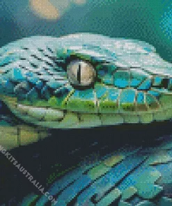 Blue And Green Pit Vipers Snake Diamond Painting