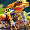 Blue And Orange Frog Diamond Painting