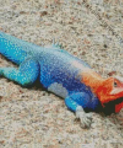 Blue And Orange Iguana Diamond Painting