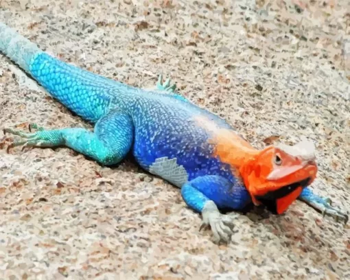 Blue And Orange Iguana Diamond Painting