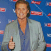 David Hasselhoff Actor Diamond Painting