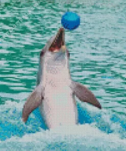 Dolphin Playing With Ball Diamond Painting