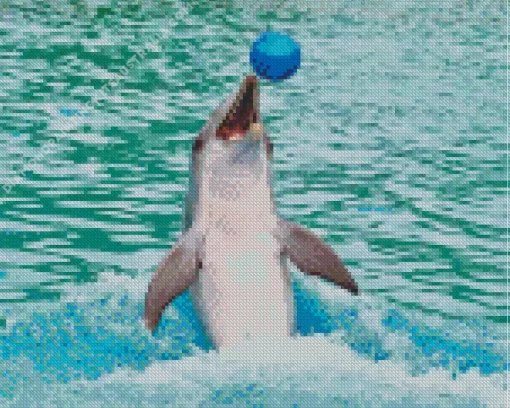 Dolphin Playing With Ball Diamond Painting