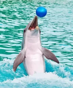 Dolphin Playing With Ball Diamond Painting