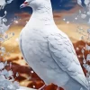 Fancy White Pigeon Bird Diamond Painting