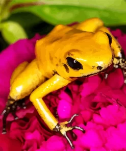 Golden Poison Dart Frog On Flower Diamond Painting