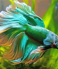 Green Betta Diamond Painting