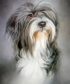 Grey Tibetan Terrier Puppy Diamond Painting