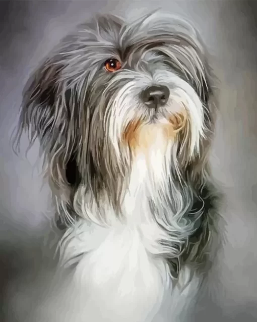 Grey Tibetan Terrier Puppy Diamond Painting