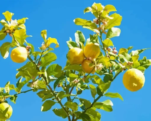 Lemon Plant Diamond Painting