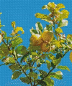 Lemon Plant Diamond Painting