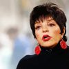 Liza Minnelli Actress Diamond Painting