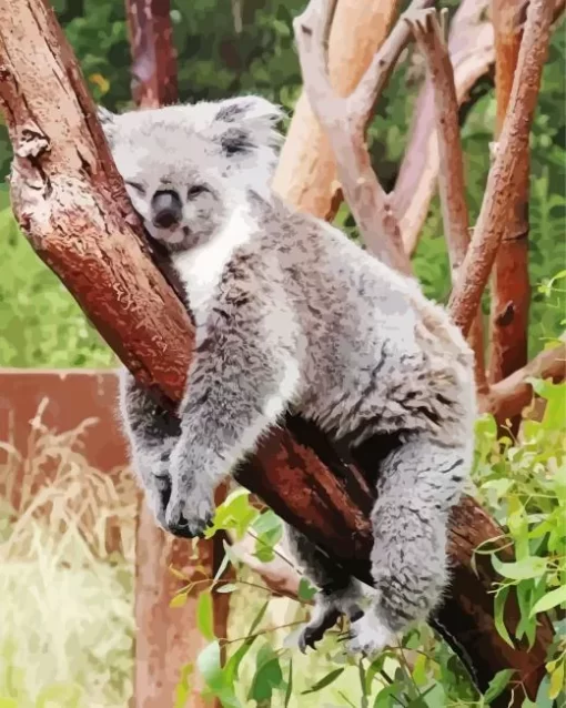 Tired Koala Diamond Painting