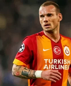 Wesley Sneijder Player Diamond Painting