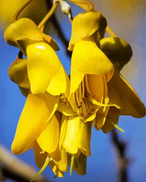 Yellow Kowhai Diamond Painting