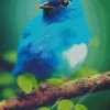 Blue Canary Bird Diamond Painting