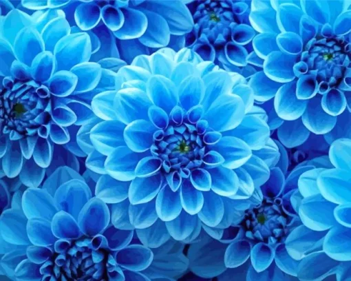 Blue Dahlia Flowers Diamond Painting