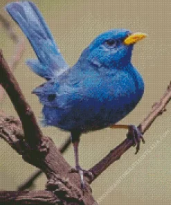 Blue Finch Diamond Painting