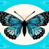 Illustration Blue And Black Butterfly Diamond Painting