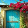 Old Blue Door Flowers Diamond Painting