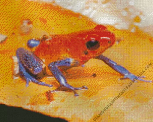 The Blue And Orange Frog Diamond Painting