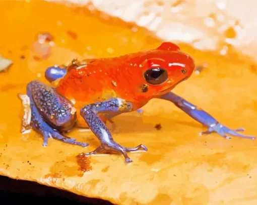 The Blue And Orange Frog Diamond Painting