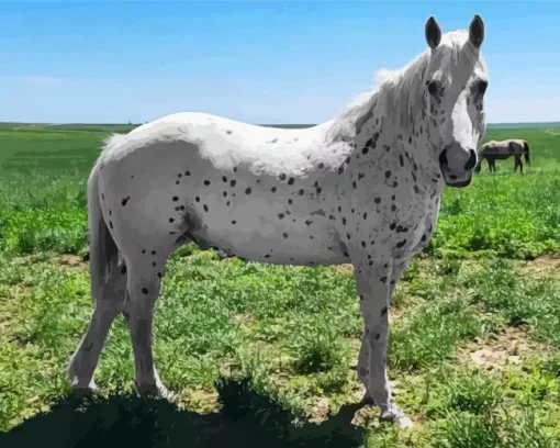 Appaloosa Leopard Diamond Painting