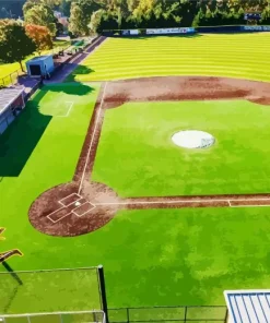 Baseball Field Diamond Painting