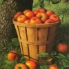 Basket Of Apples Diamond Painting