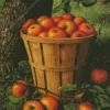 Basket Of Apples Diamond Painting