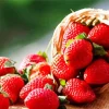 Basket Of Strawberries Diamond Painting