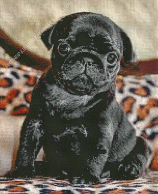 Black Pug Puppy Diamond Painting