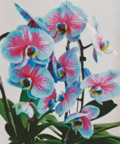 Blue And Pink Orchids Diamond Painting