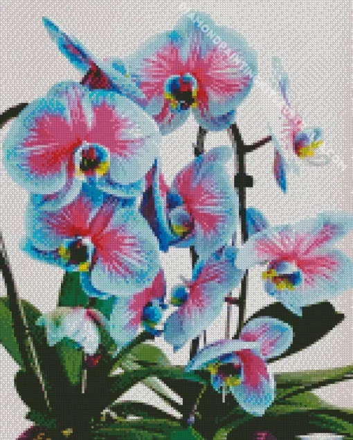 Blue And Pink Orchids Diamond Painting