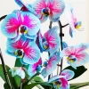 Blue And Pink Orchids Diamond Painting