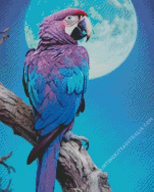 Blue And Purple Parrot Diamond Painting