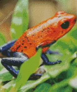 Blue And Red Frog Diamond Painting