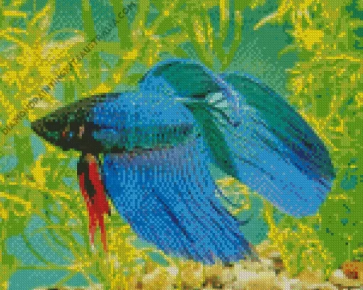 Blue Betta Fish Underwater Diamond Painting