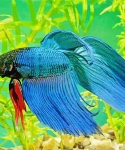 Blue Betta Fish Underwater Diamond Painting