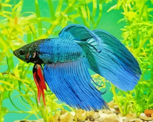 Blue Betta Fish Underwater Diamond Painting