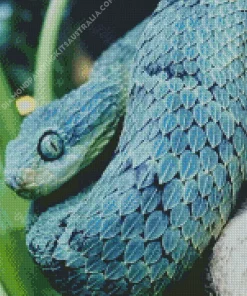 Blue Bush Snake Diamond Painting