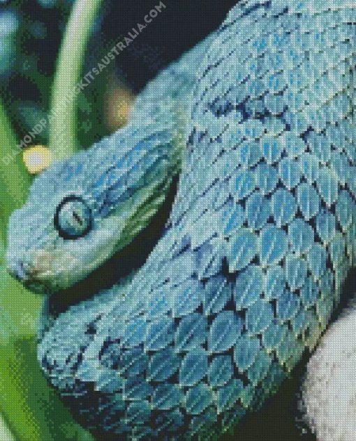 Blue Bush Snake Diamond Painting