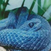 Blue Bush Viper Diamond Painting