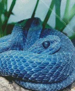 Blue Bush Viper Diamond Painting