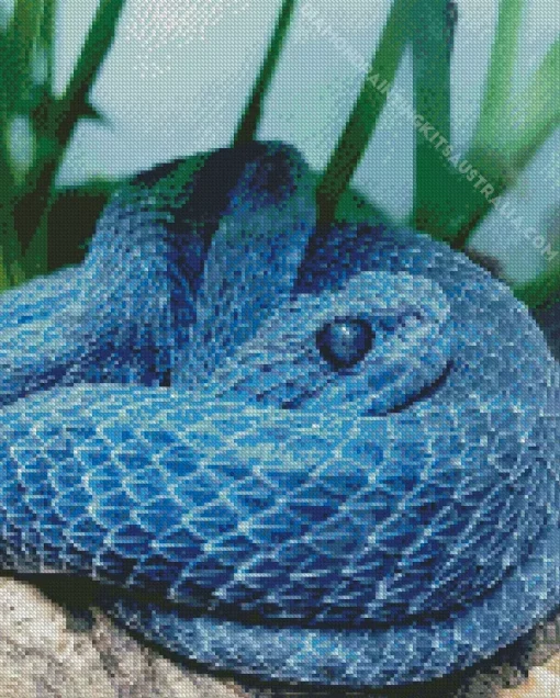 Blue Bush Viper Diamond Painting