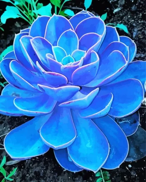 Blue Cactus Diamond Painting