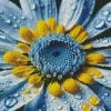 Blue Chamomile Flower Diamond Painting