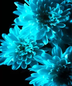 Blue Chrysanthemum Diamond Painting