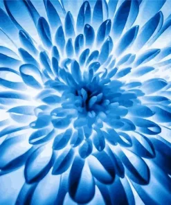 Blue Chrysanthemum Flower Diamond Painting