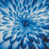 Blue Chrysanthemum Flower Diamond Painting